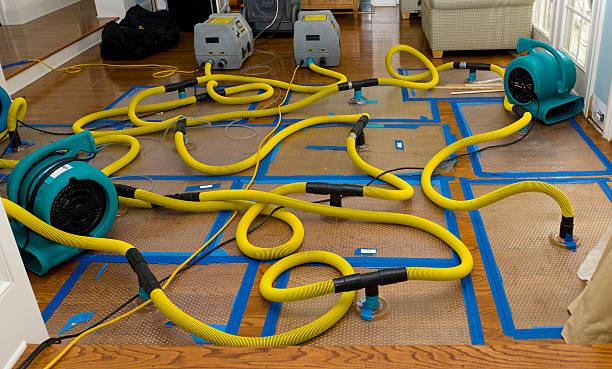 Professional Crawl Space Water Removal technician working in North Lima, OH